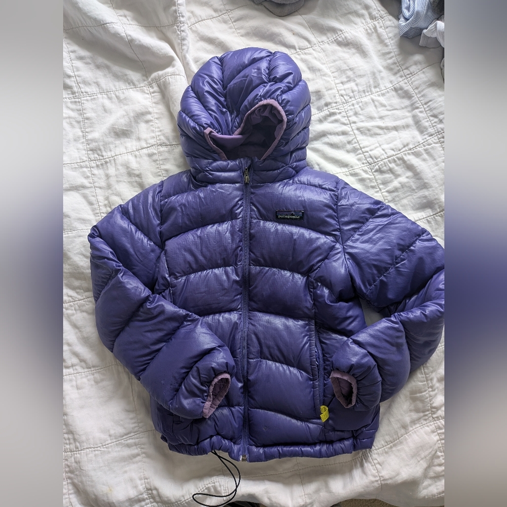 Patagonia Hi-loft Down Hoody